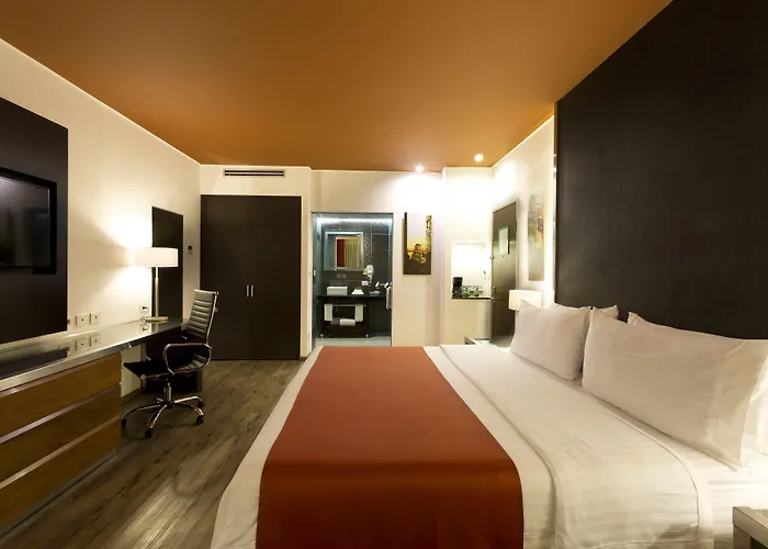 Hotel Zona Centro By Ihg